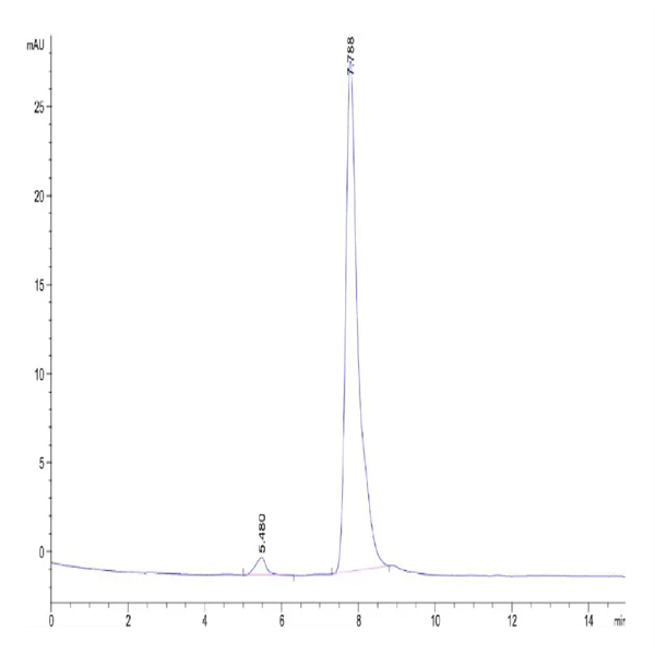 Human IGFBP-7 Protein (IGF-HM207)