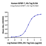 Human IGFBP-7 Protein BP005676 Syd Labs