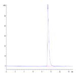 Mouse IGFBP2 Protein BP004692 Syd Labs