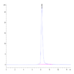 Mouse IGFBP-7 Protein BP003216 Syd Labs