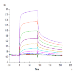 Human IgG4 Fc Protein BP005651 Syd Labs