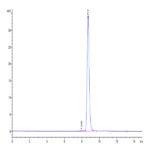 Mouse IgG2C Protein BP003781 Syd Labs