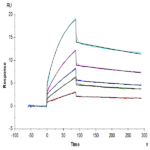 Cynomolgus IL-1 Beta/IL-1F2 Protein BP003661 Syd Labs