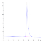 Cynomolgus IL-1 alpha/IL-1A Protein BP003933 Syd Labs