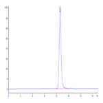 Cynomolgus IL-10 R alpha Protein (IL1-CM1RA)