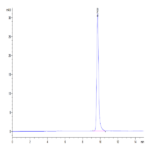 Human IL-1 alpha/IL-1A Protein BP005013 Syd Labs