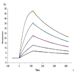 Human IL-18 Protein BP005730 Syd Labs