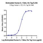 Biotinylated Human IL-1 Beta/IL-1F2 Protein BP004932 Syd Labs