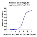 Human IL-13 Protein BP003450 Syd Labs