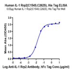 Human IL-1 Rrp2/IL-1 R6 (C154S,C262S) Protein BP004611 Syd Labs