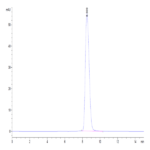 Human IL-1R1 Protein BP004482 Syd Labs