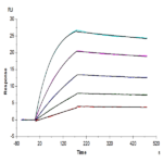 Human IL-15RA&IL-15 Protein BP004351 Syd Labs
