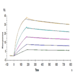 Human IL-17RB Protein BP004750 Syd Labs