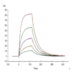 Human IL-13 Protein BP004836 Syd Labs