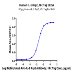 Human IL-1 Rrp2/IL-1 R6 Protein BP004818 Syd Labs