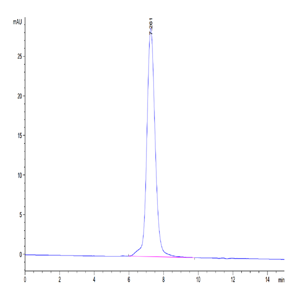 Human IL-1 Rrp2/IL-1 R6 Protein (IL1-HM2L2)
