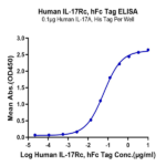 Human IL-17Rc Protein BP004412 Syd Labs