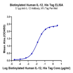 Biotinylated Human IL-12 Protein BP005012 Syd Labs