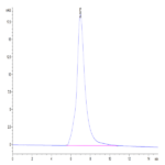 Human IL-1 Rrp2/IL-1 R6 Protein (IL1-HM4L2)