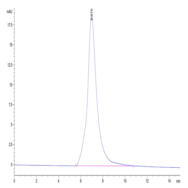 Human IL-1 Rrp2/IL-1 R6 Protein (IL1-HM4L2)