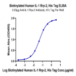 Biotinylated Human IL-1 Rrp2/IL-1 R6 Protein BP005753 Syd Labs