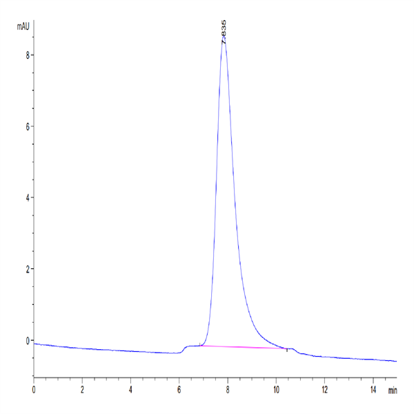 Human IL-10 R alpha Protein (IL1-HM4RA)