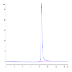 Mouse IL-12 Protein BP003864 Syd Labs