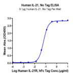 Human IL-21 Protein BP005786 Syd Labs