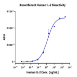 Human IL-2 Protein BP003323 Syd Labs