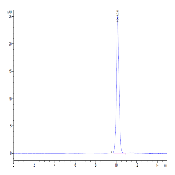 Human IL-2 Protein (IL2-HM001)