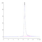 Human IL-20 Protein BP004924 Syd Labs