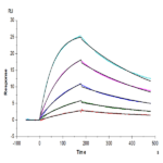 Human IL-27 Protein BP003622 Syd Labs