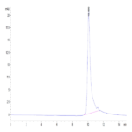 Human IL-20 Protein BP004757 Syd Labs
