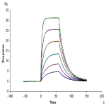 Biotinylated Mouse IL-22 Protein BP004239 Syd Labs