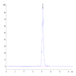 Mouse IL-20 Protein BP004925 Syd Labs
