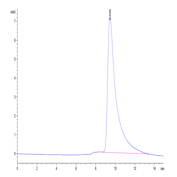 Mouse IL-2 Protein (IL2-MM401)
