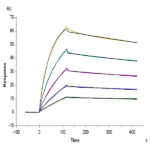 Cynomolgus IL-33 Protein BP004845 Syd Labs