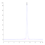 Cynomolgus IL-3 R alpha/CD123 Protein (IL3-CM1RA)