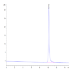 Human IL-3 Protein (IL3-HE003)