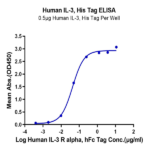 Human IL-3 Protein BP005438 Syd Labs