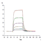 Human IL-3 Protein BP004778 Syd Labs
