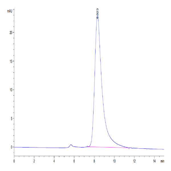 Human IL-3 Protein (IL3-HM201)