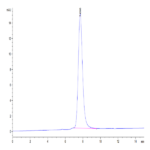 Mouse IL-3 Protein BP004817 Syd Labs
