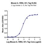 Mouse IL-15RA/IL-15 R alpha/CD215 Protein BP004569 Syd Labs