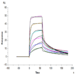Human IL-7R alpha/CD127 Protein BP005785 Syd Labs