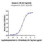 Human IL-17B Protein BP003419 Syd Labs