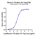 Mouse IL-7R alpha/CD127 Protein BP004175 Syd Labs