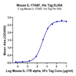 Mouse IL-17A&F Protein BP004278 Syd Labs