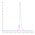 Cynomolgus IL-18BP Protein (IL8-CM1BP)