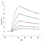 Biotinylated Cynomolgus IL-18BP Protein BP003553 Syd Labs